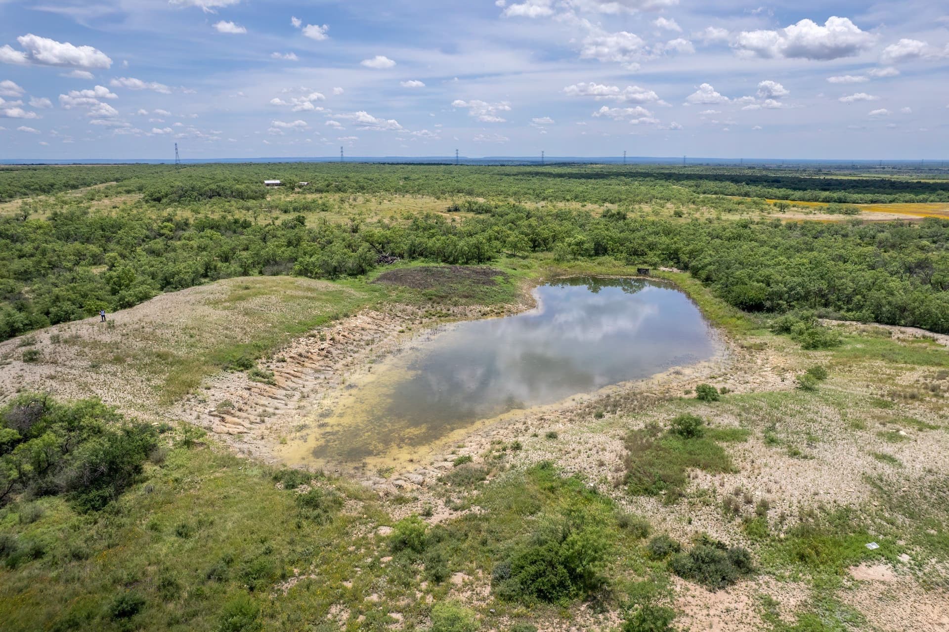 155 acres in Coleman County featured view
