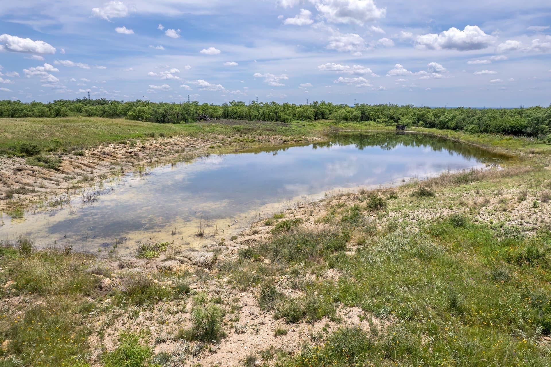 155 acres in Coleman County gallery image 4