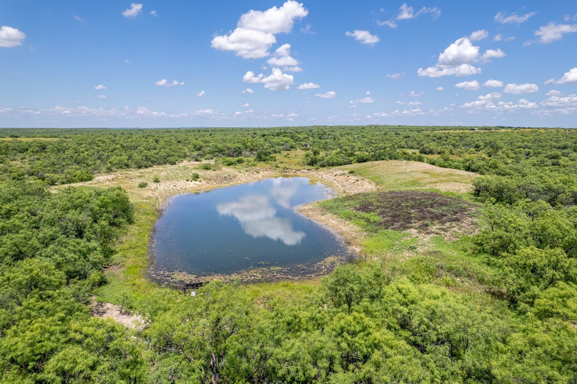 155 acres in Coleman County gallery image 2