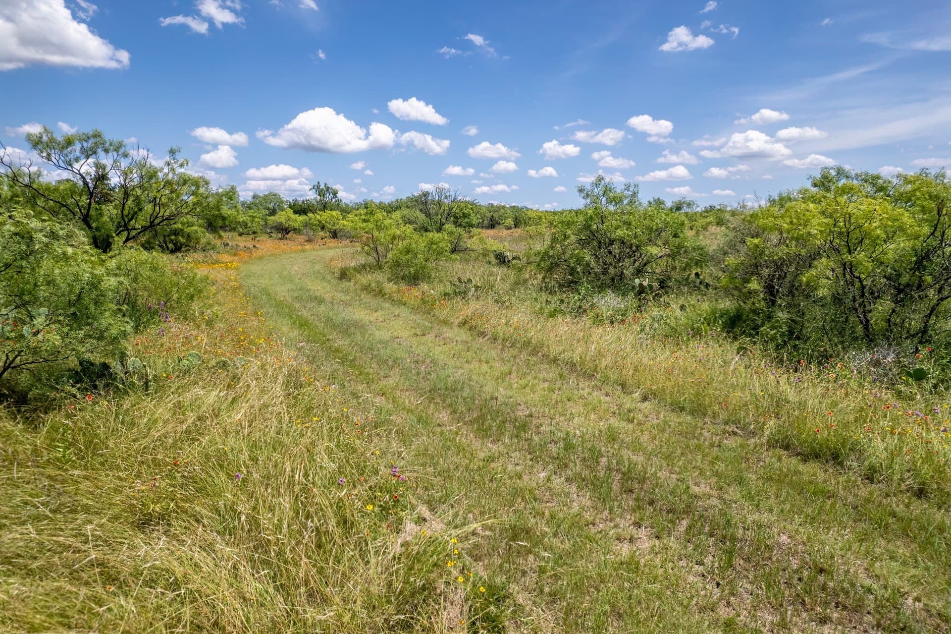 155 acres in Coleman County - photo 13