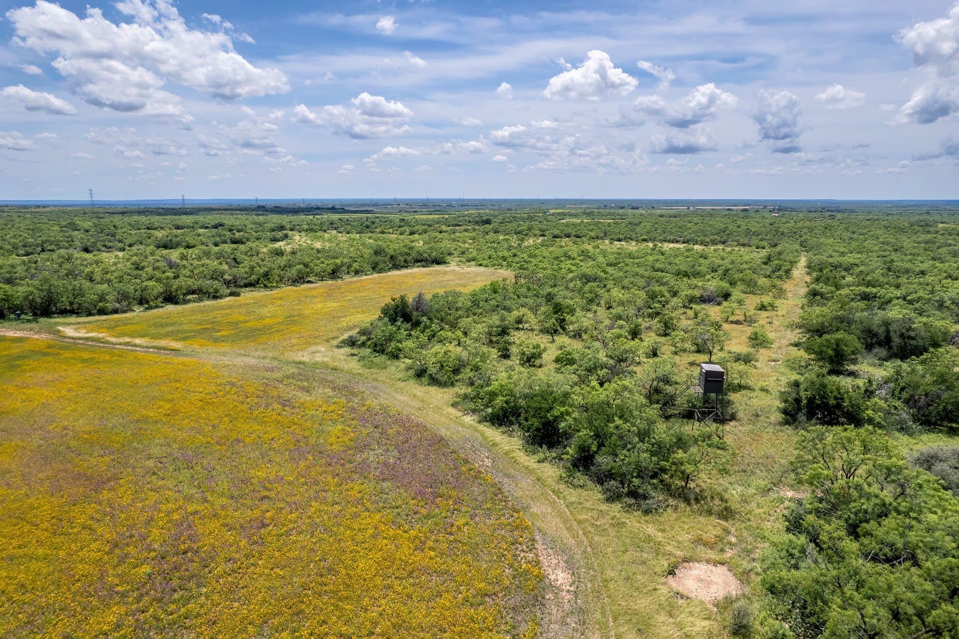155 acres in Coleman County - photo 14