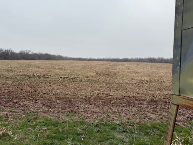 220.56 acres in Jones County gallery image 2