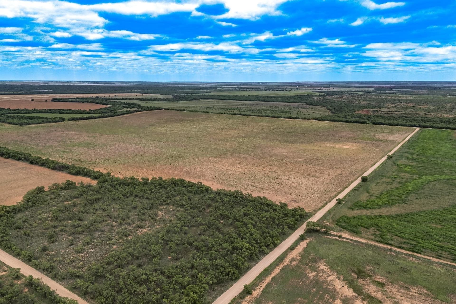 220.56 acres in Jones County - photo 7