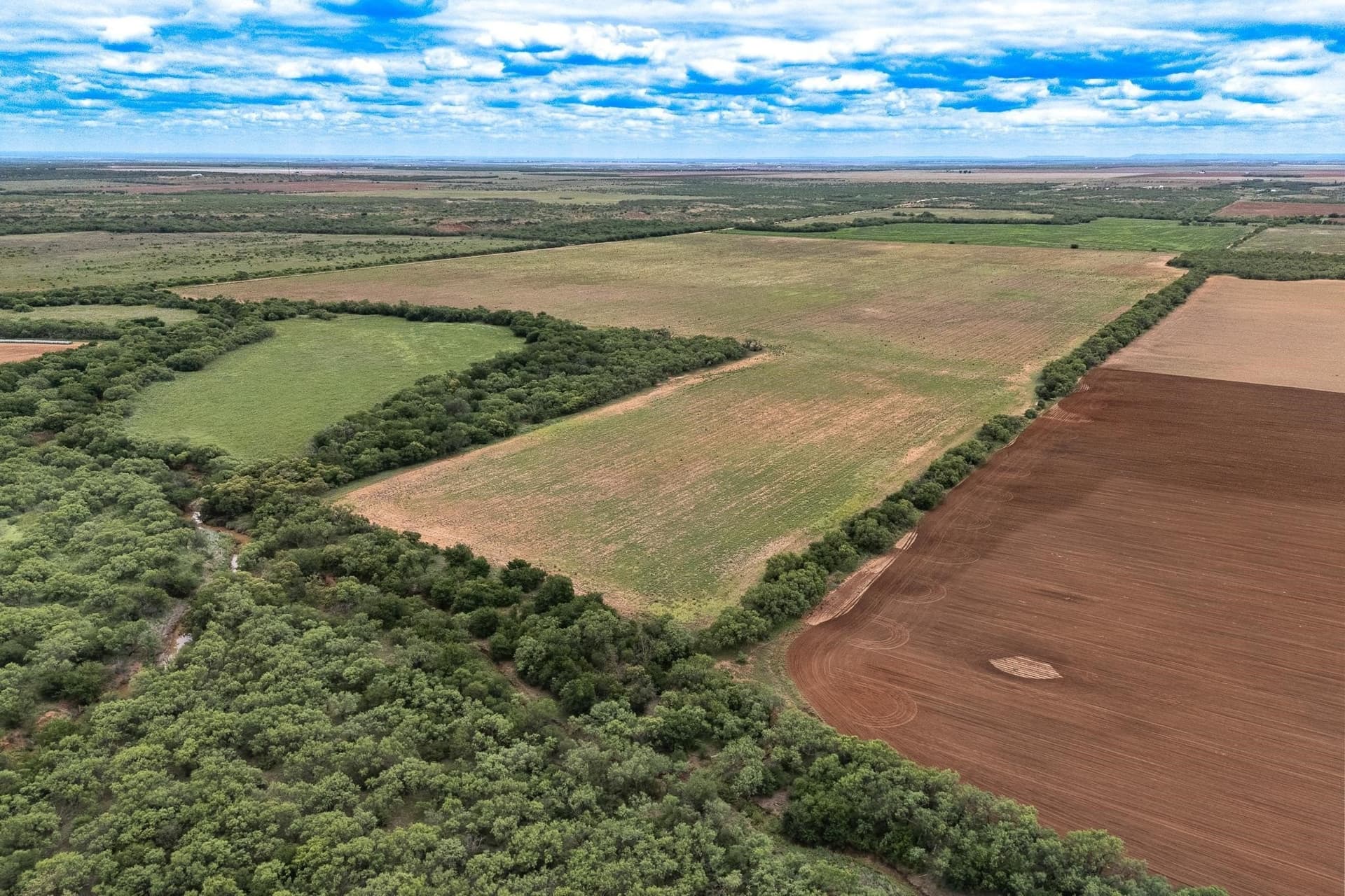 220.56 acres in Jones County - photo 4