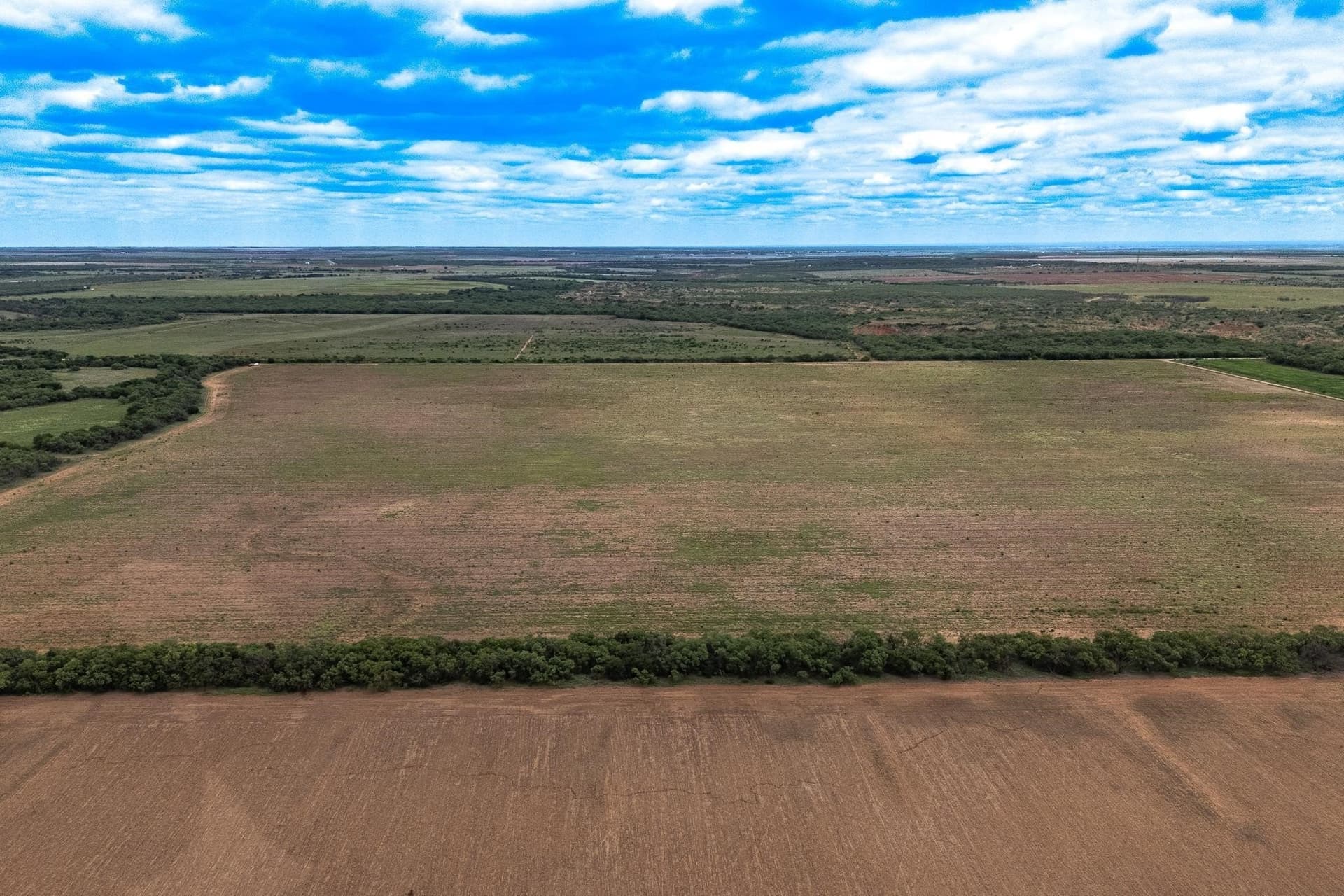 220.56 acres in Jones County - photo 6