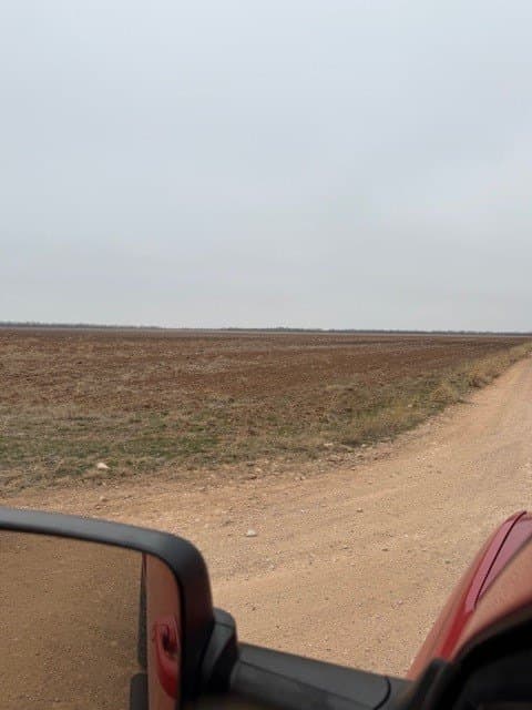 220.56 acres in Jones County gallery image 3