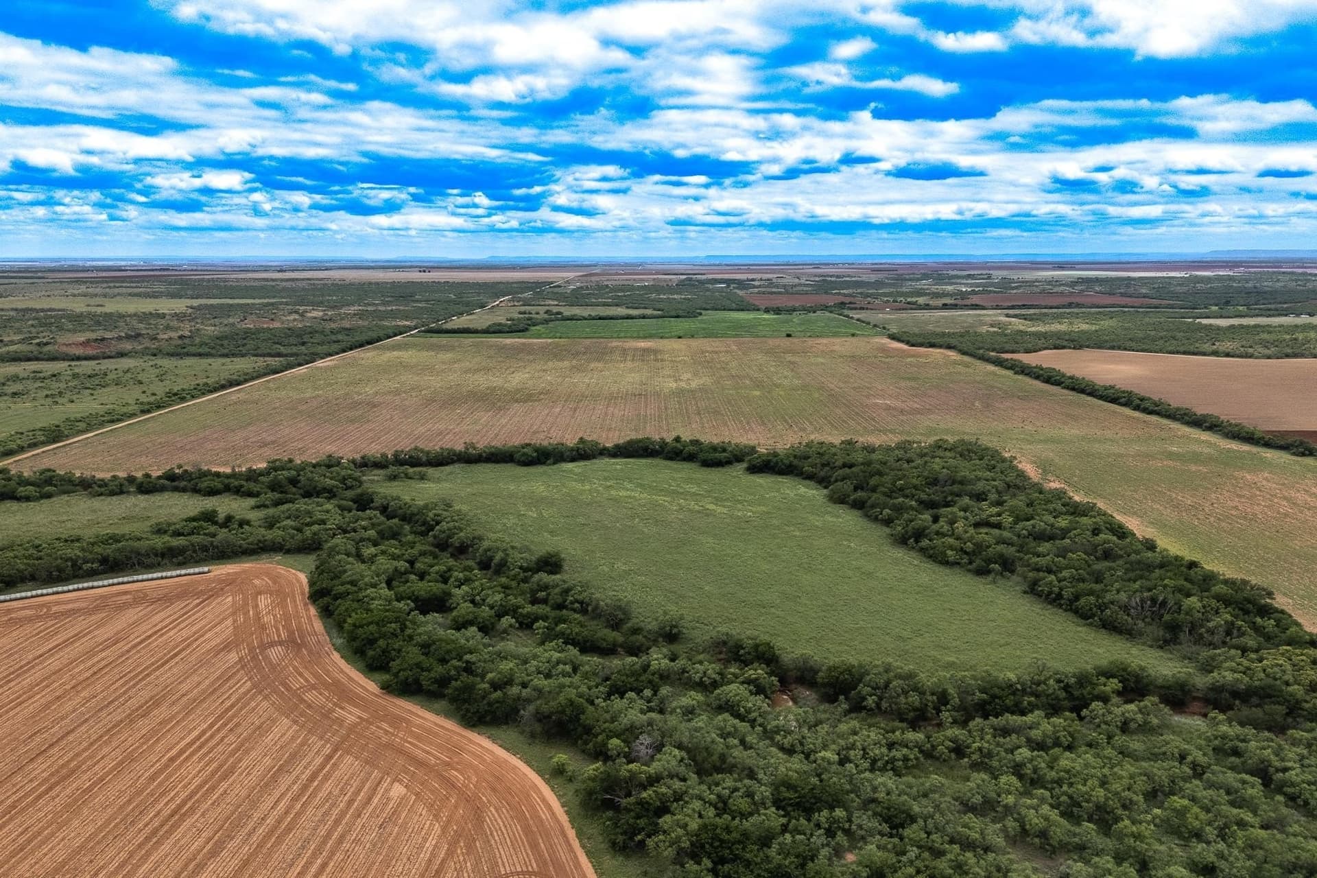 220.56 acres in Jones County - photo 3