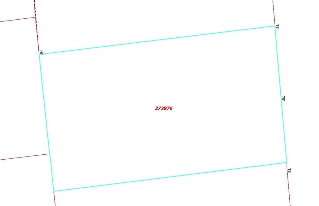 0.21 acres in Henderson County gallery image 4