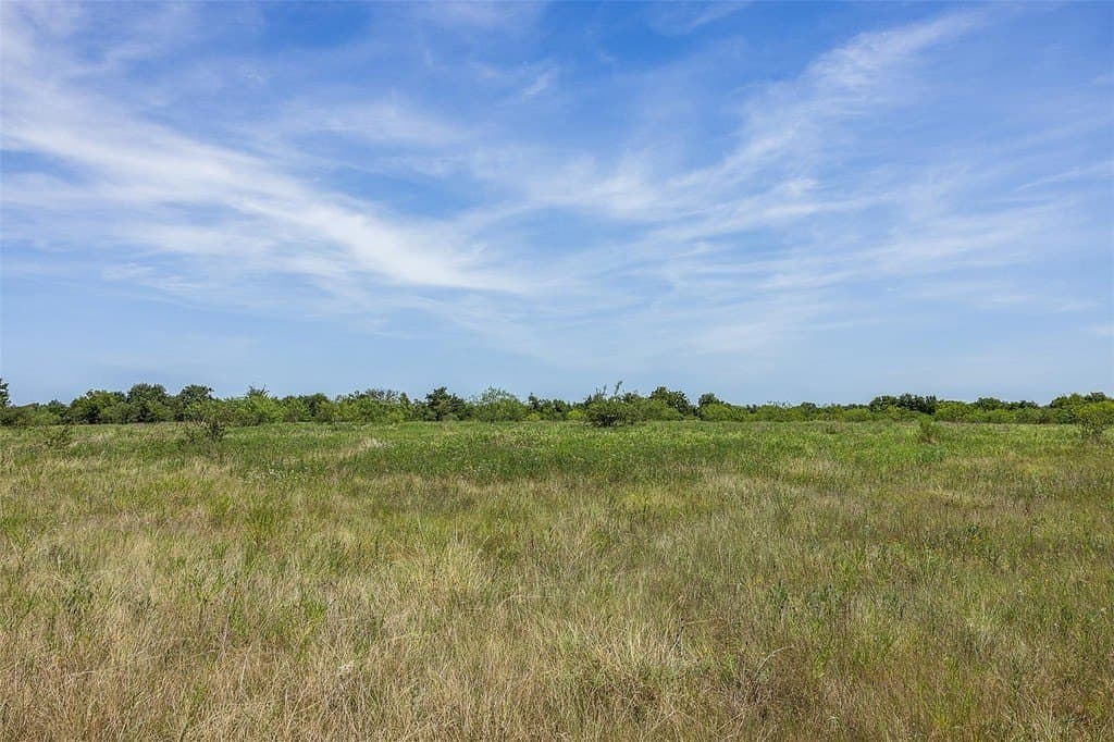 33.06 acres in Limestone County gallery image 3