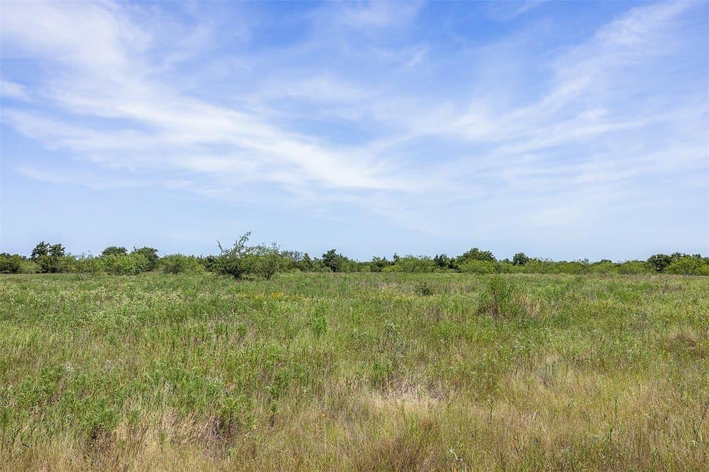 33.06 acres in Limestone County gallery image 4