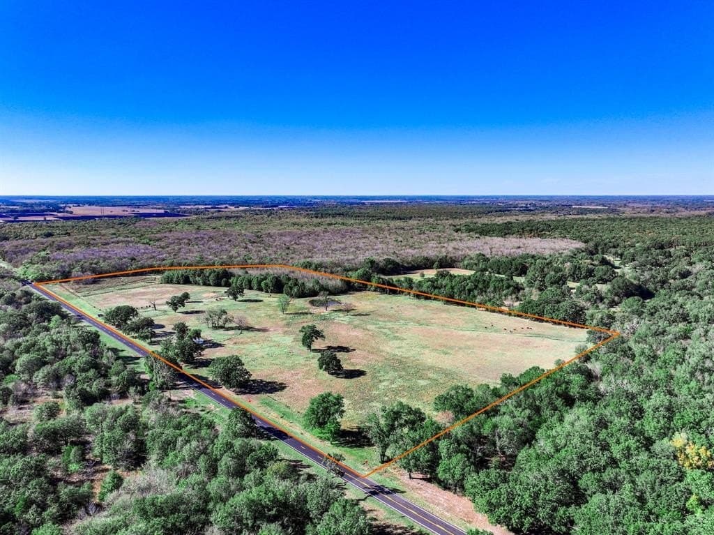47 acres in Lamar County gallery image 2