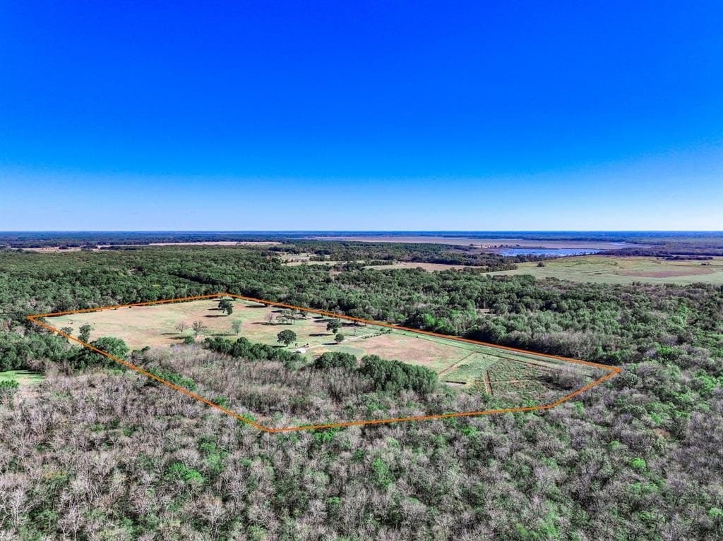 47 acres in Lamar County gallery image 4