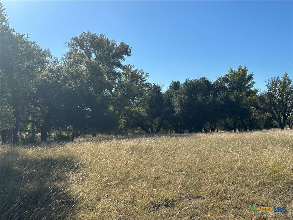 46.82 acres in Hamilton County gallery image 3