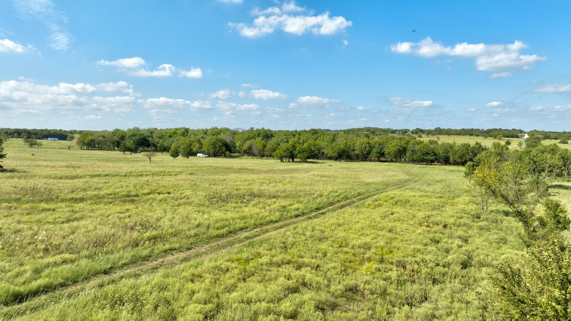 6 acres in Cooke County gallery image 4