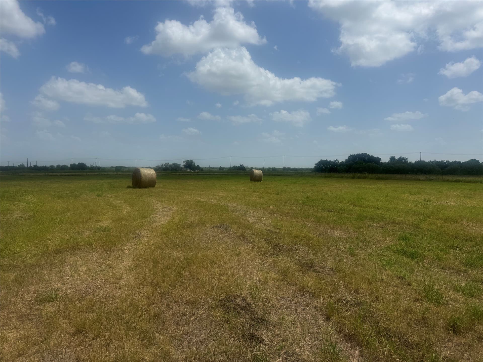 4 acres in Navarro County - photo 5