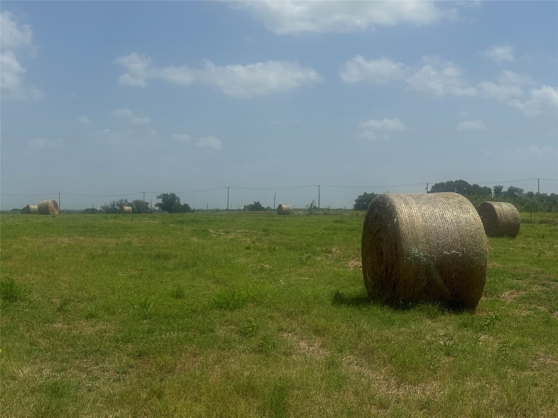 4 acres in Navarro County - photo 9