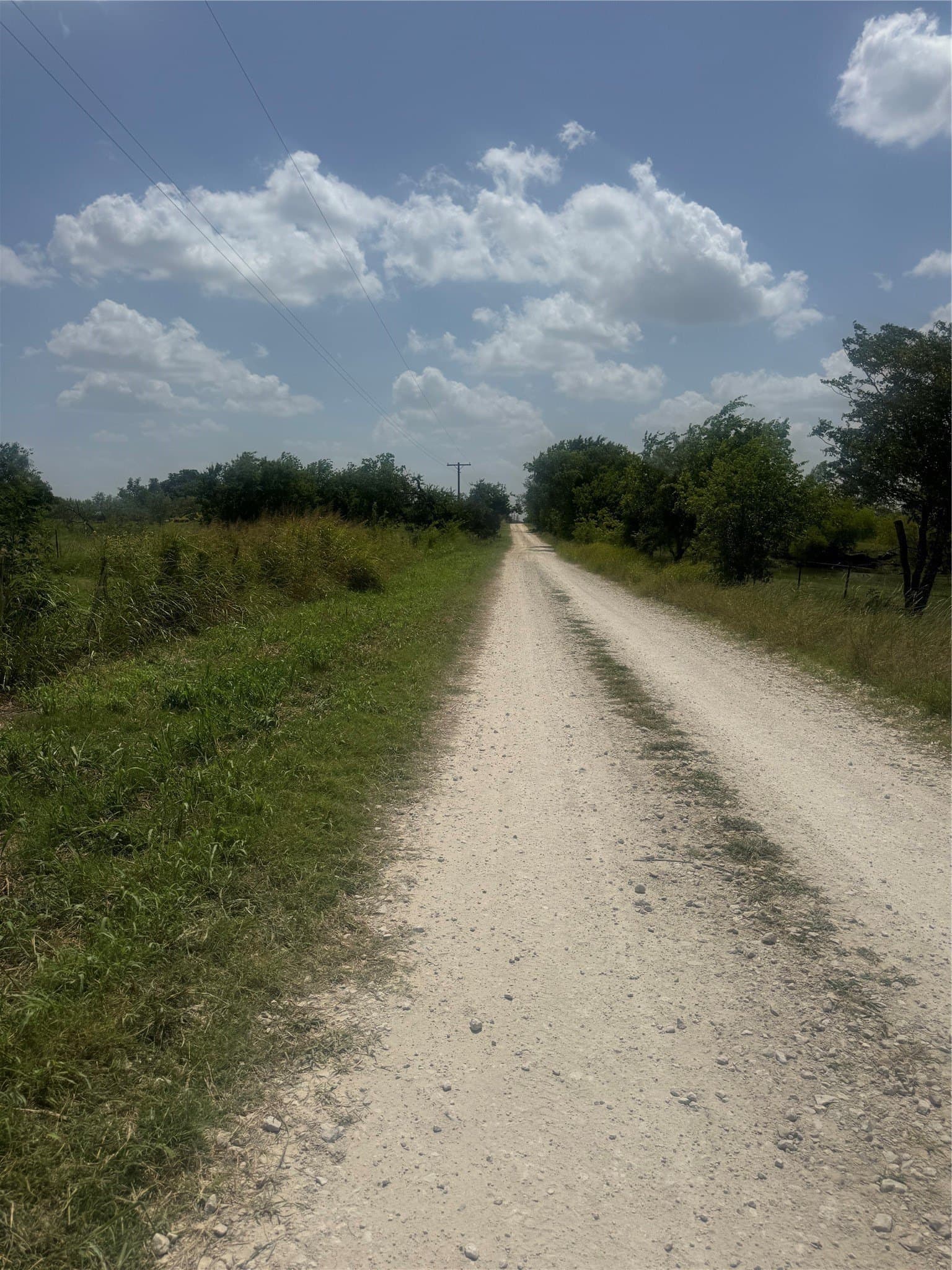 4 acres in Navarro County - photo 4