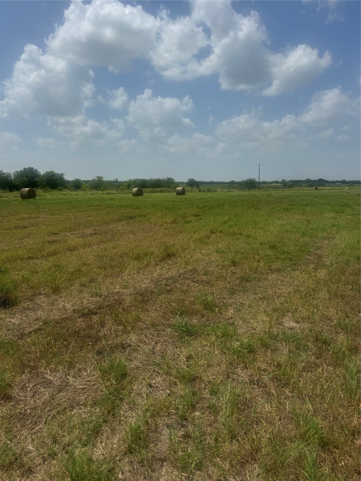4 acres in Navarro County - photo 6