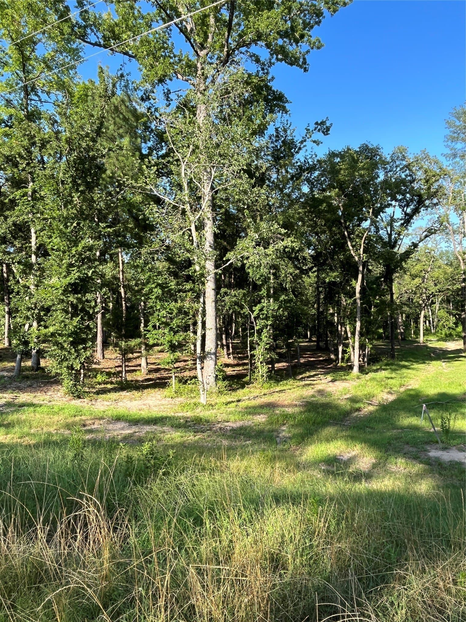 1.67 acres in Henderson County - photo 7