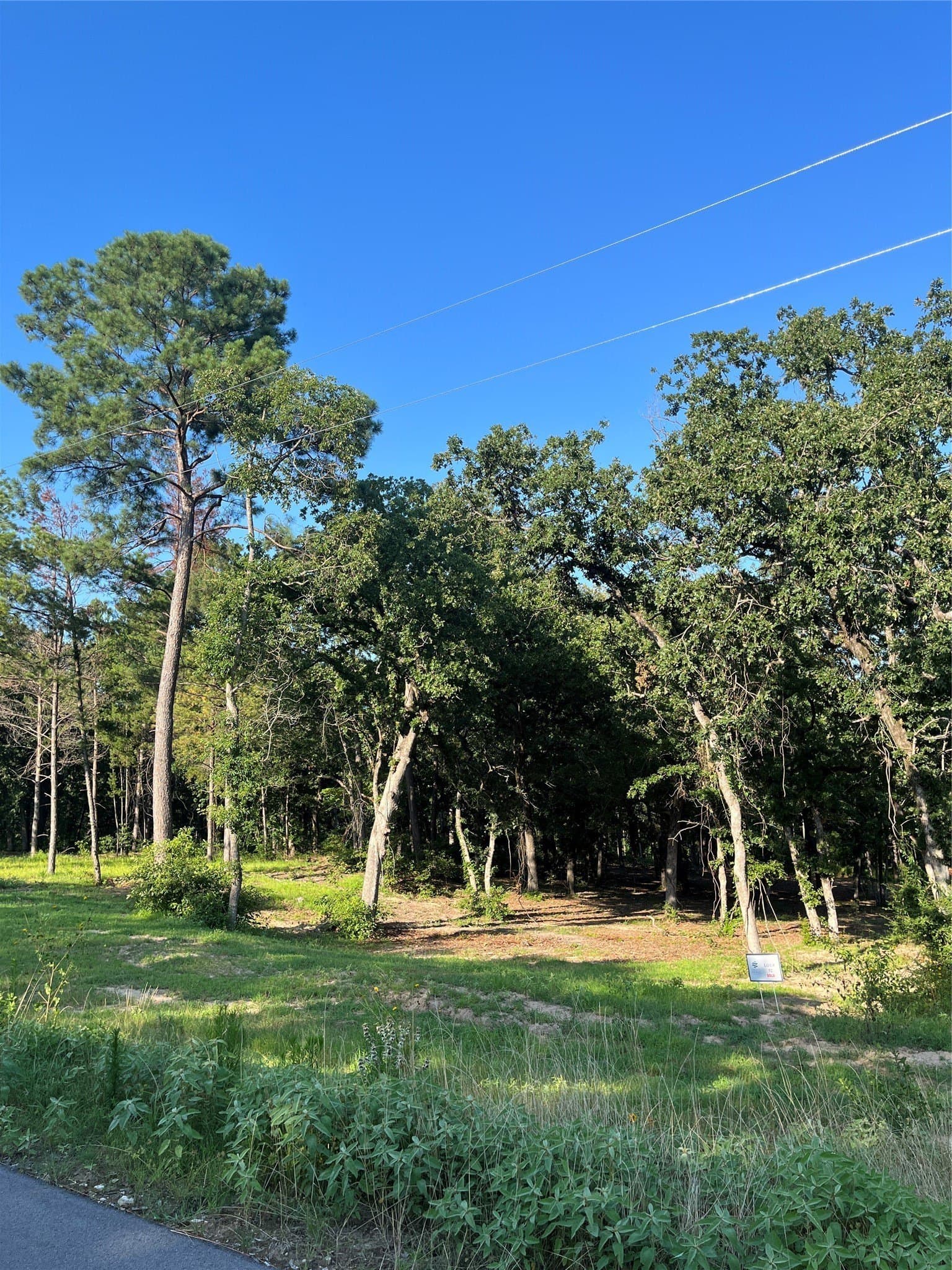 1.67 acres in Henderson County - photo 3