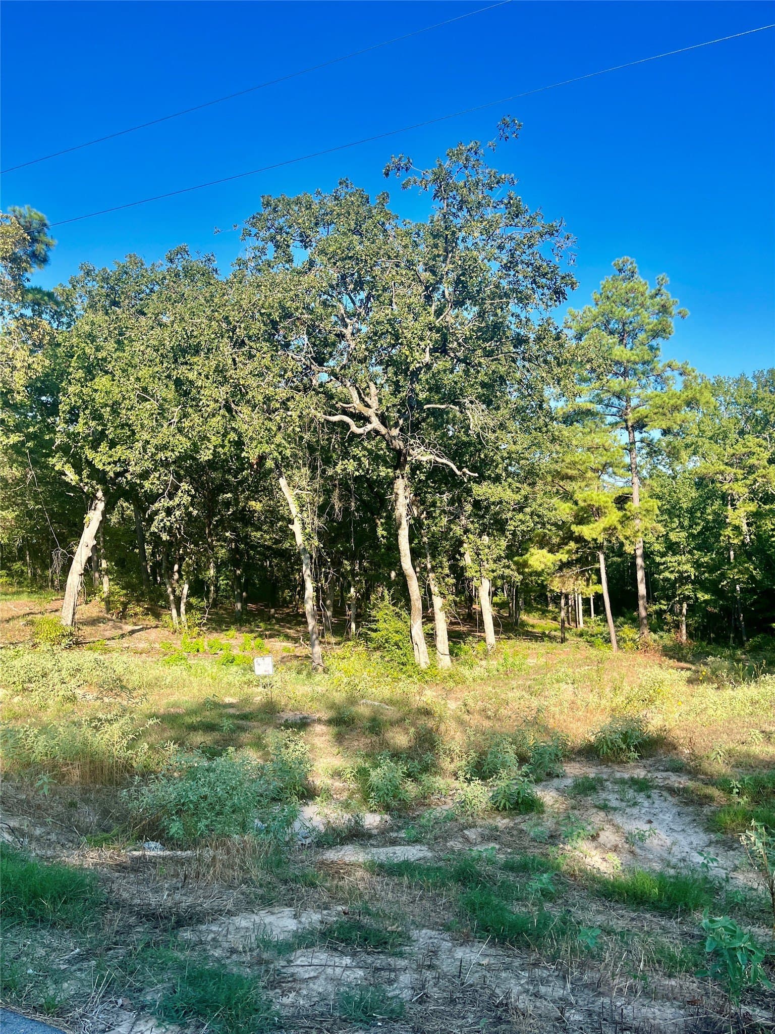 1.67 acres in Henderson County - photo 8