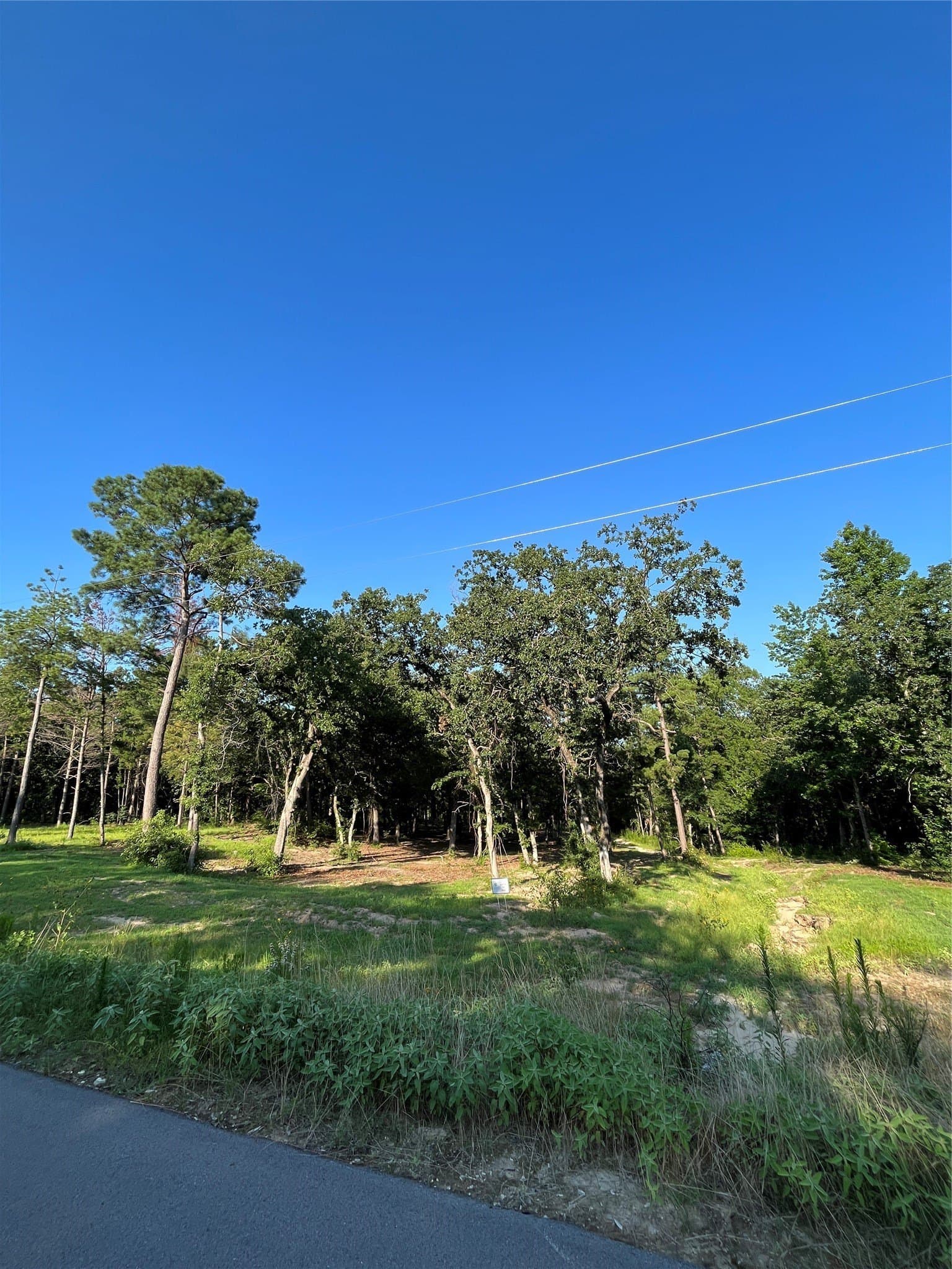 1.67 acres in Henderson County - photo 4