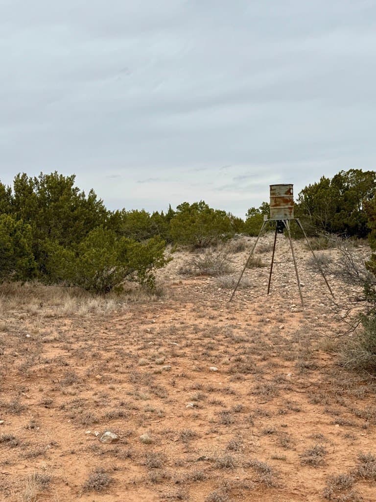 43.37 acres in Coke County - photo 10