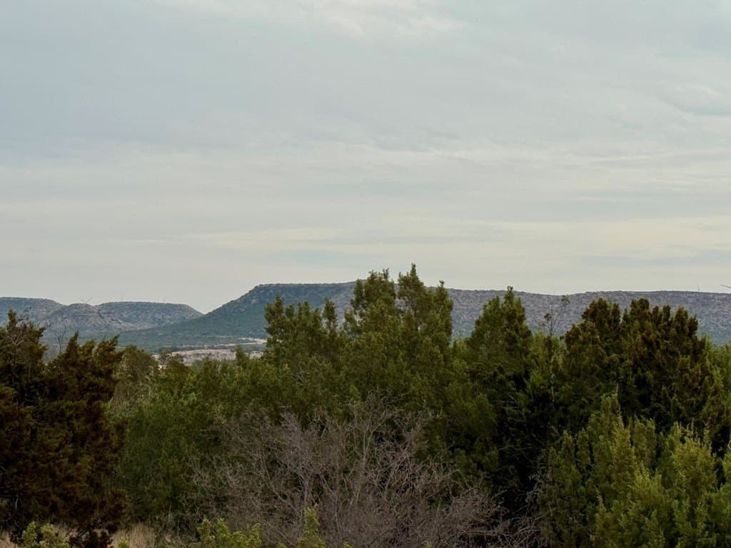 43.37 acres in Coke County - photo 7