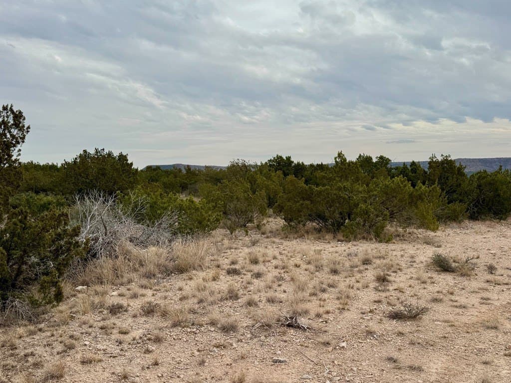 43.37 acres in Coke County - photo 8