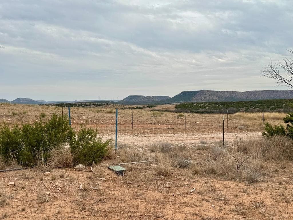 43.37 acres in Coke County - photo 18