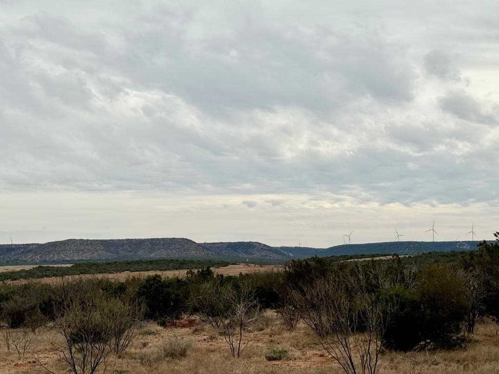 43.37 acres in Coke County - photo 12