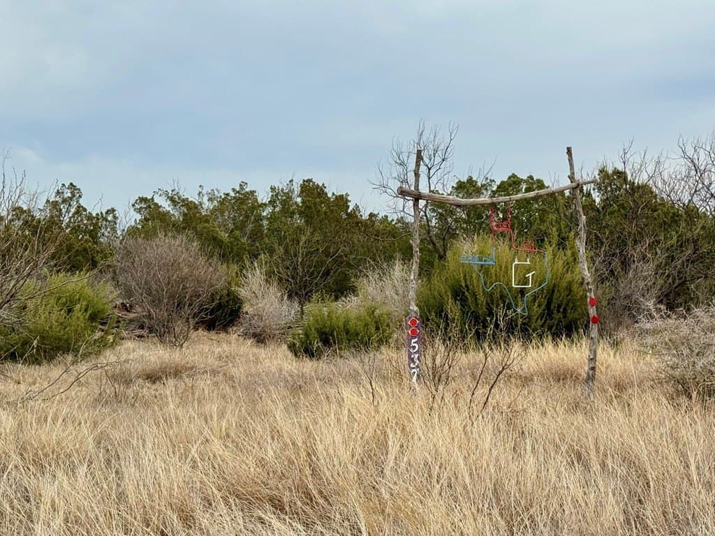 43.37 acres in Coke County gallery image 3