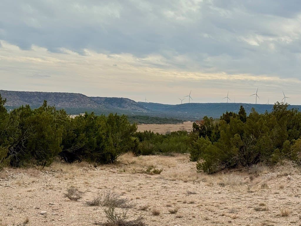 43.37 acres in Coke County - photo 9