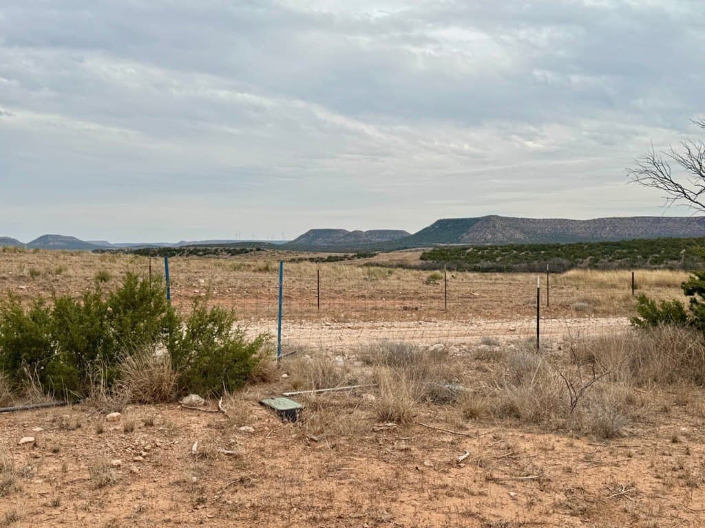 43.37 acres in Coke County - photo 19