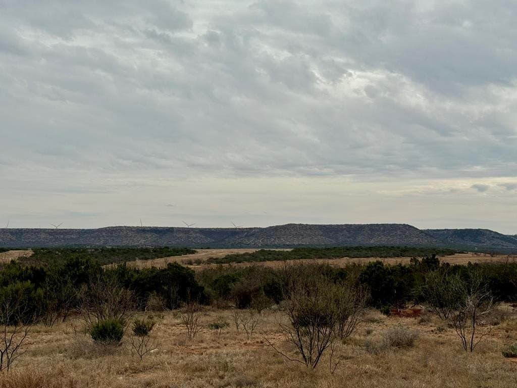 43.37 acres in Coke County - photo 11
