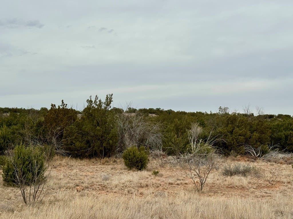 43.37 acres in Coke County - photo 6