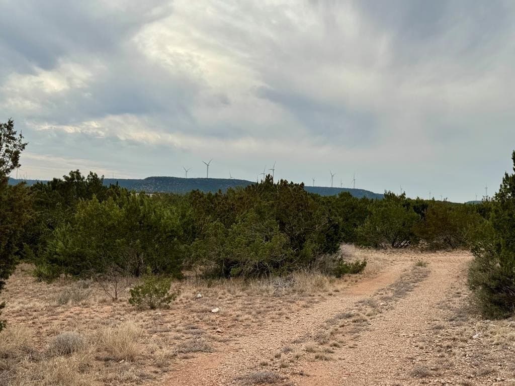 43.37 acres in Coke County gallery image 2