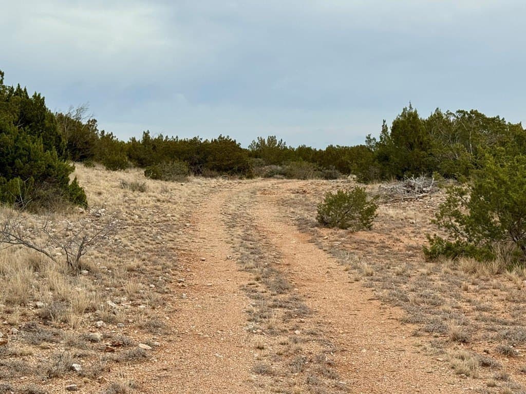 43.37 acres in Coke County featured view