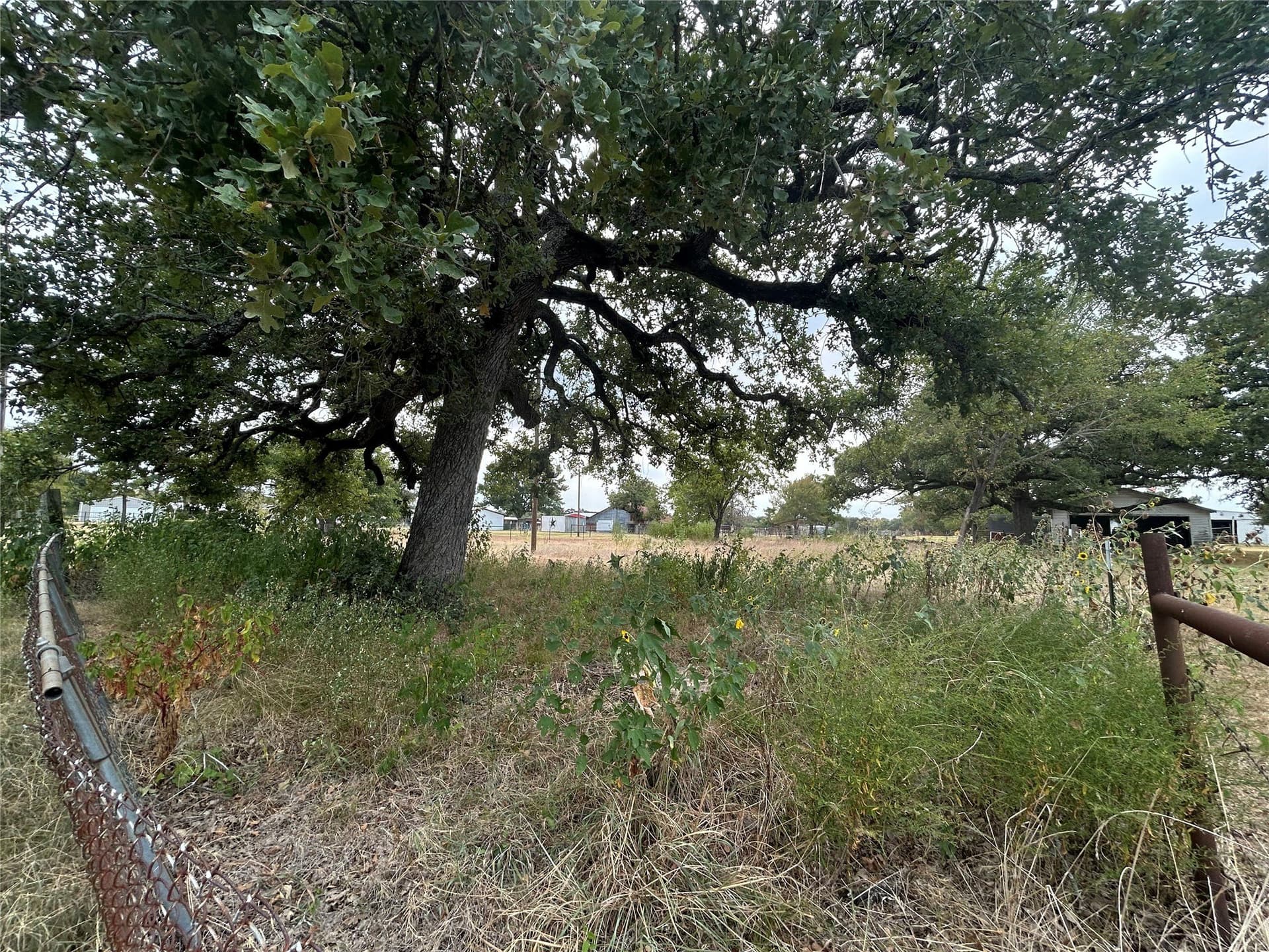 0.32 acres in Henderson County - photo 4