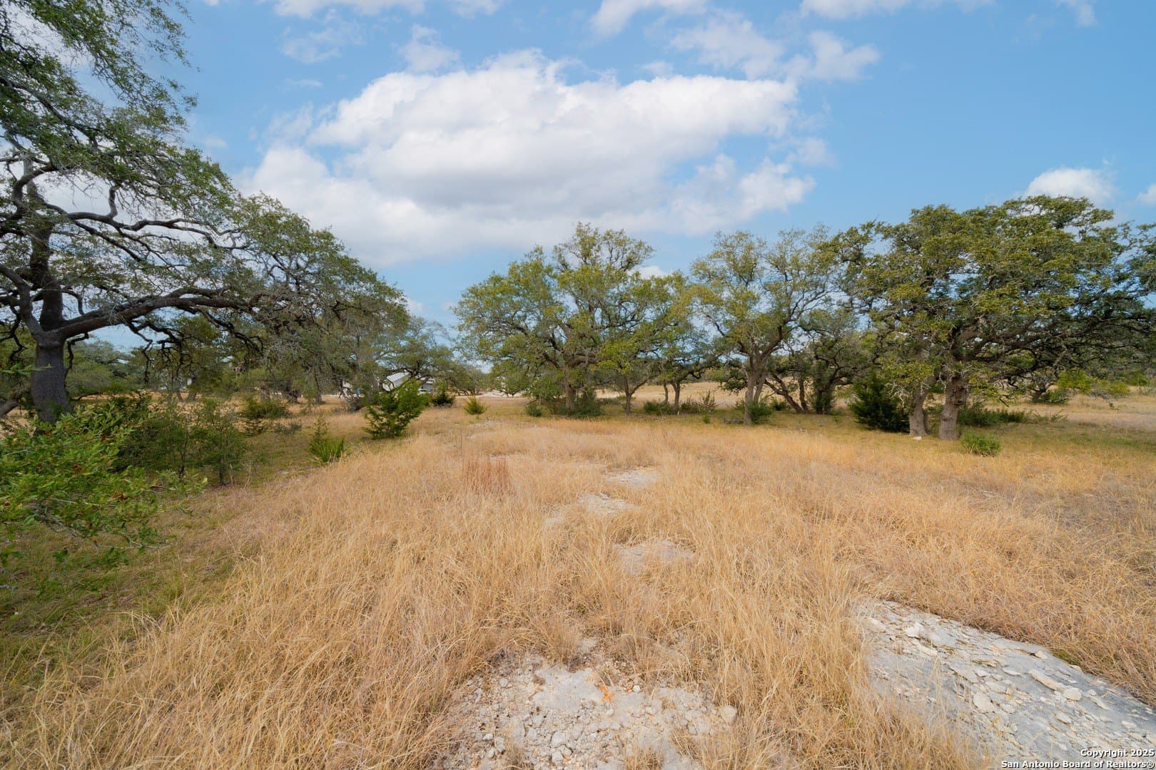 1.09 acres in Comal County - photo 9
