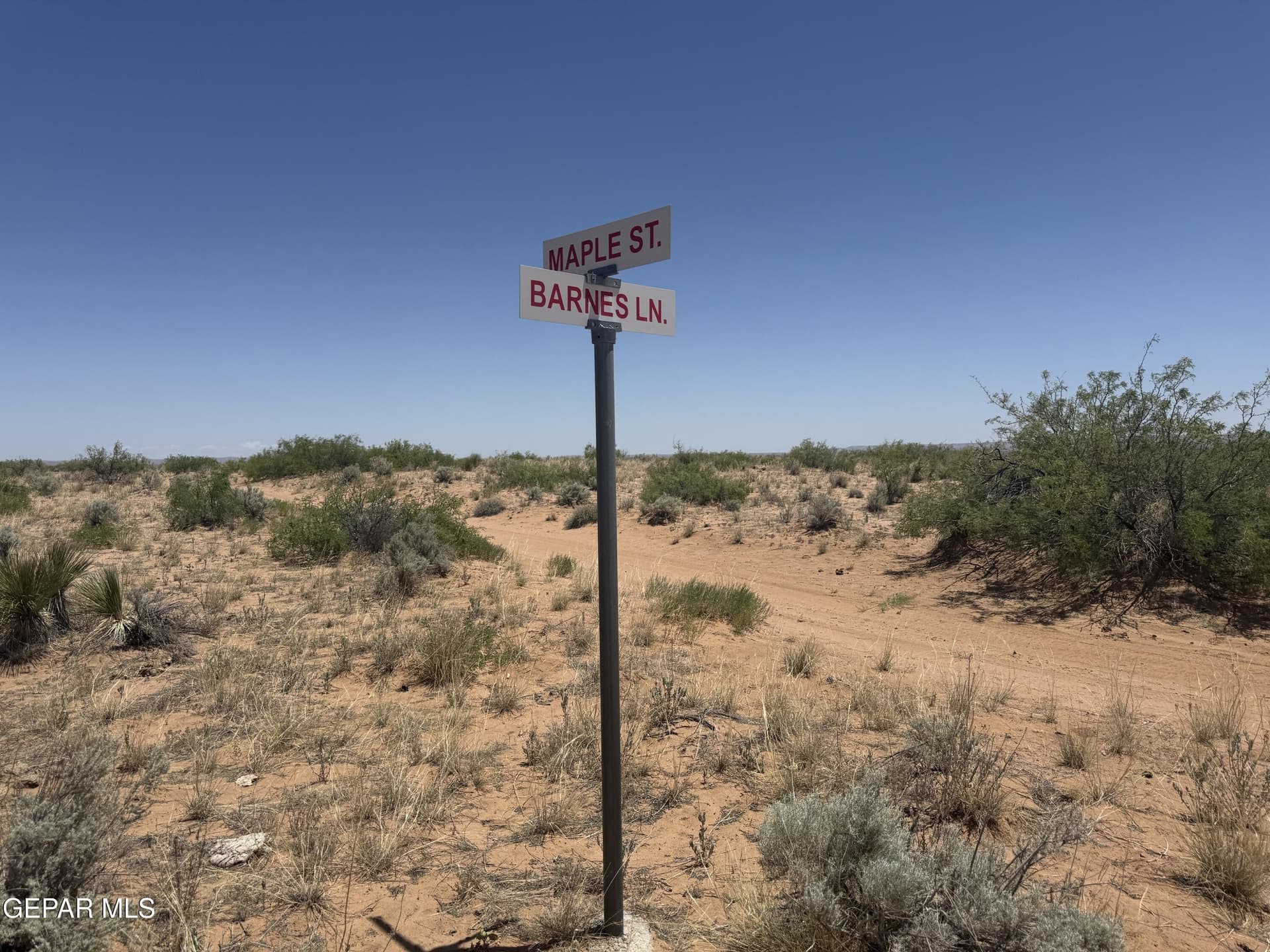 20 acres in Hudspeth County gallery image 3