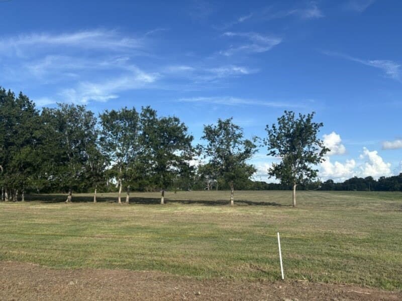 10.98 acres in Texas County gallery image 2