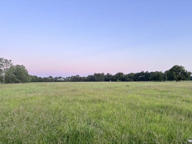 10.98 acres in Texas County gallery image 3