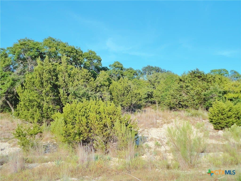 0.54 acres in Bell County - photo 13