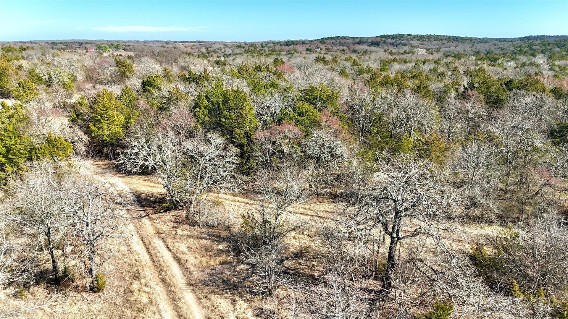 88 acres in Cooke County - photo 6