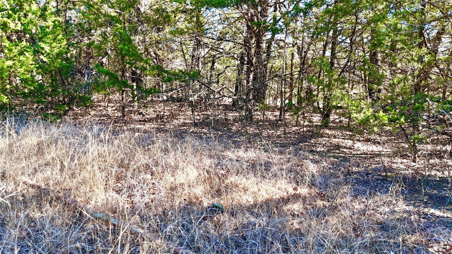 88 acres in Cooke County - photo 10