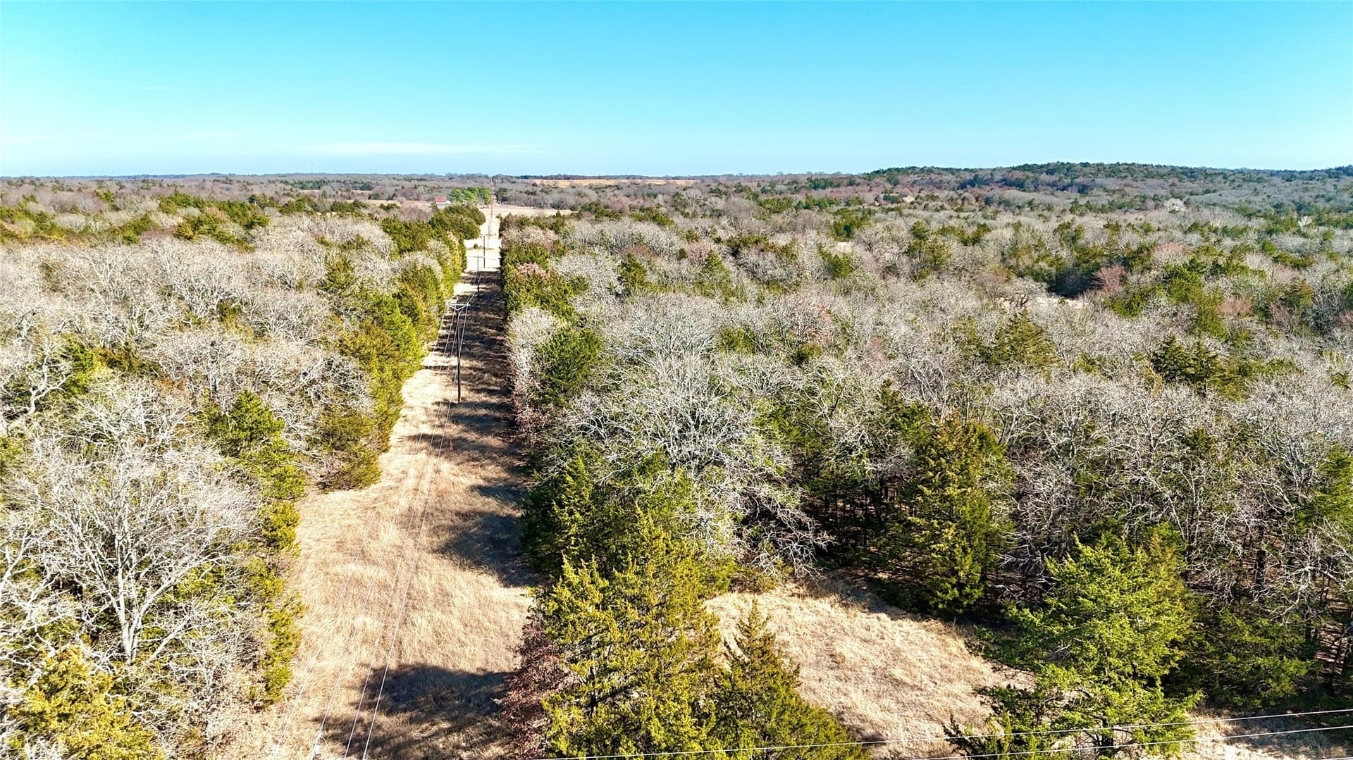 88 acres in Cooke County - photo 8
