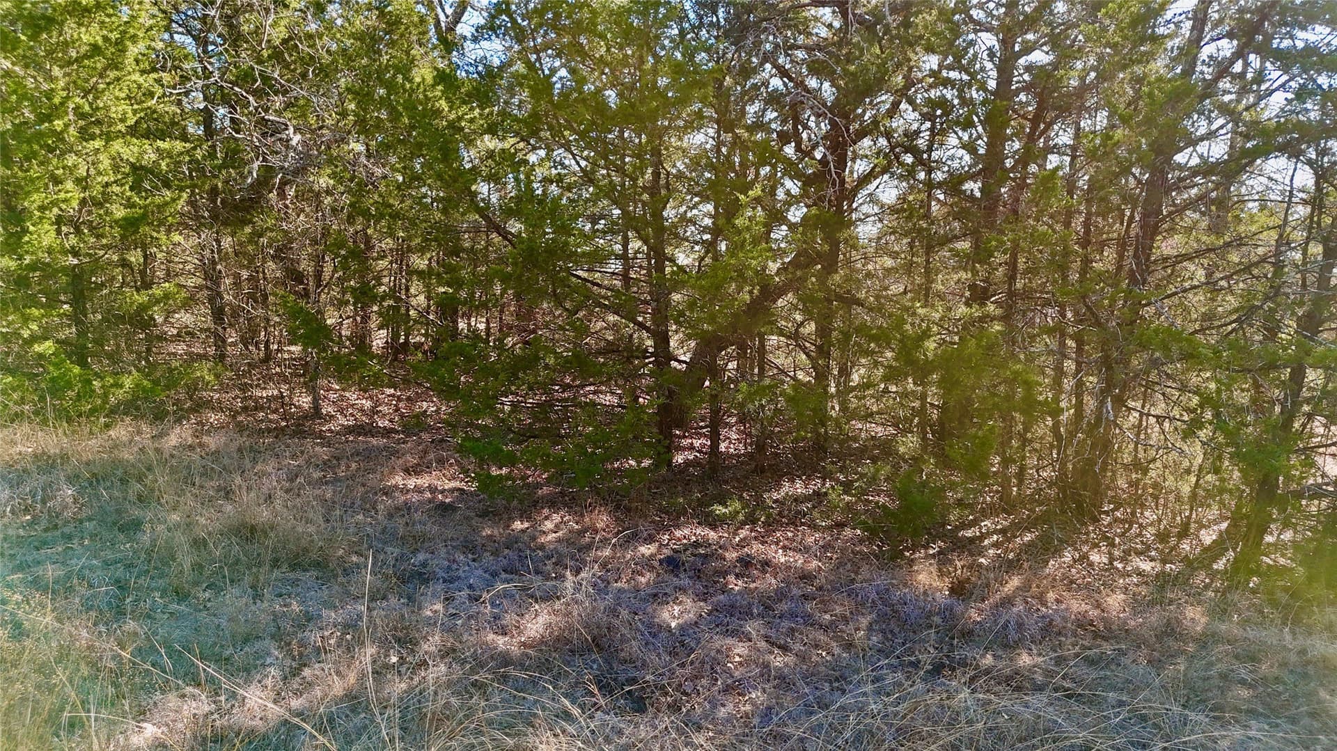 88 acres in Cooke County - photo 11