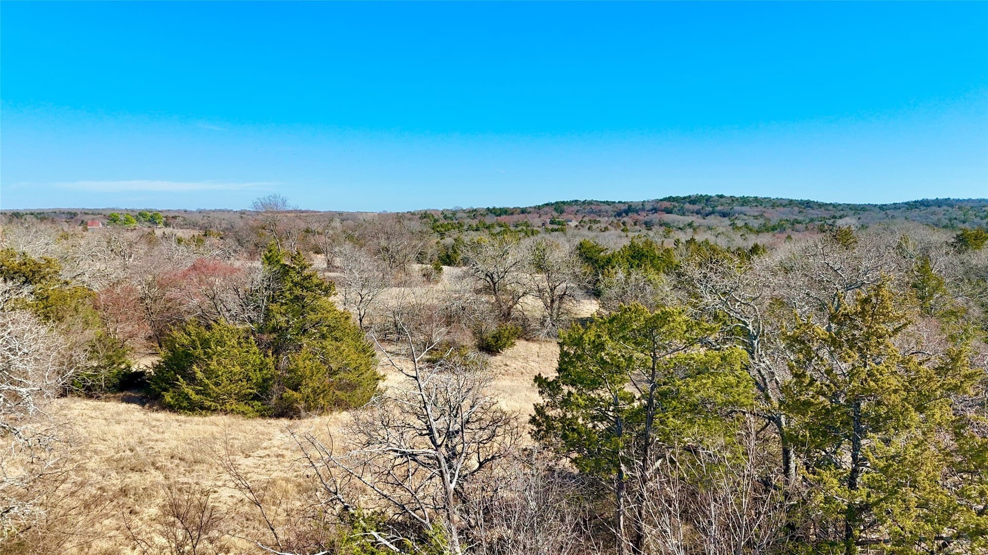 88 acres in Cooke County - photo 23