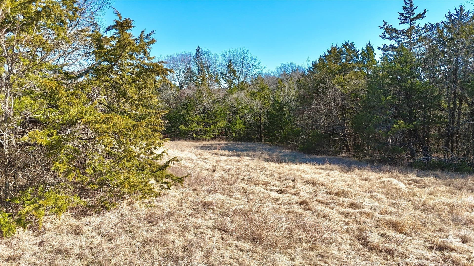 88 acres in Cooke County - photo 22